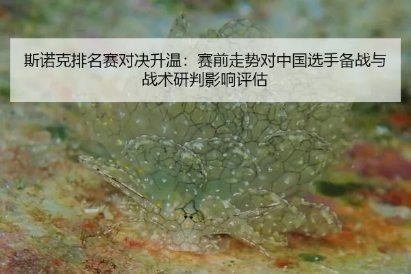 斯诺克排名赛对决升温：赛前走势对中国选手备战与战术研判影响评估